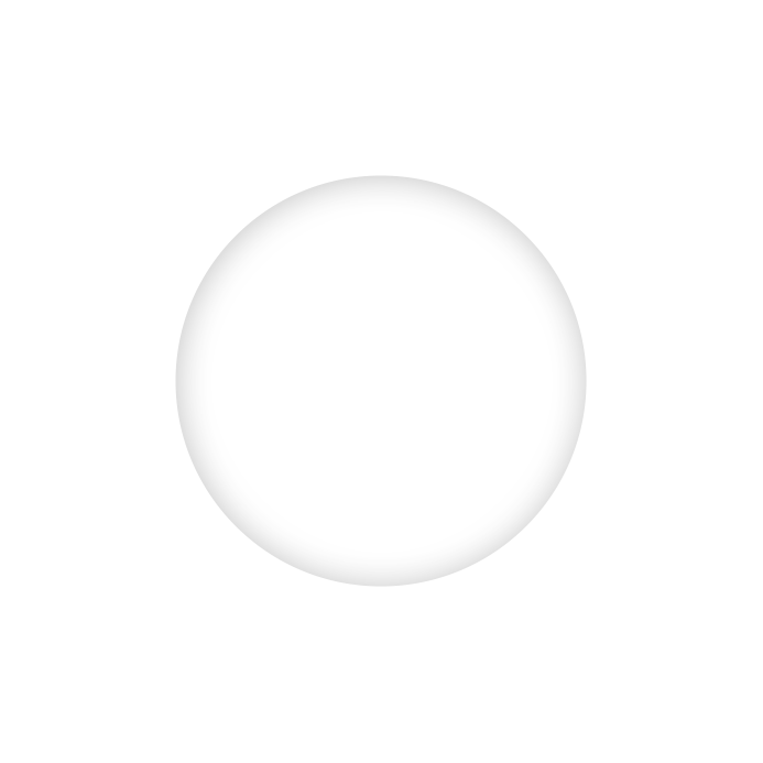 small-shad (about page)